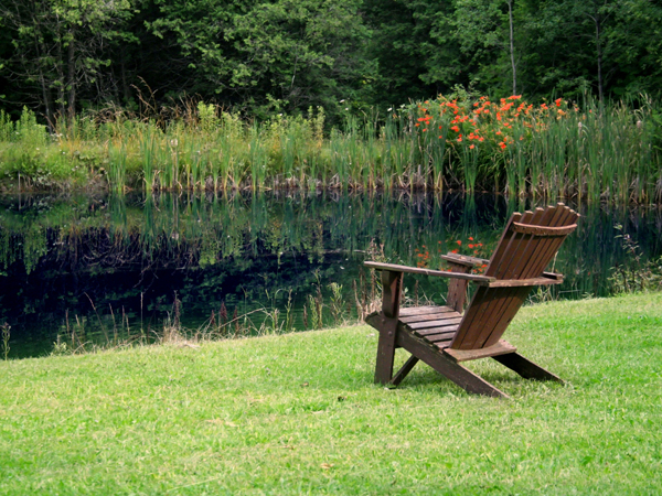 From fishing lakes to idyllic retreats, we can help you every step of the way.